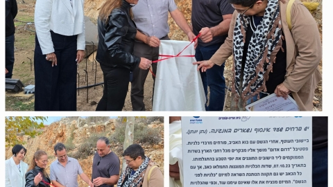 תמונה של WhatsApp‏ 2024-12-13 בשעה 15.31.13_cd8479d4.jpg