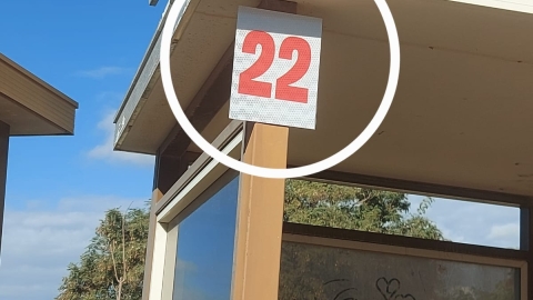 דוגמא מס 22.jpg